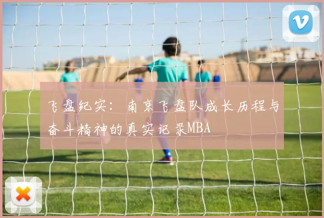 飞盘纪实：南京飞盘队成长历程与奋斗精神的真实记录MBA