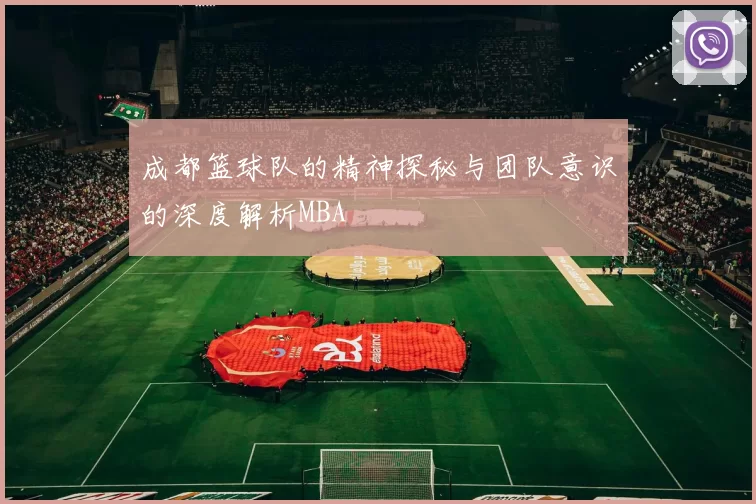 成都篮球队的精神探秘与团队意识的深度解析MBA