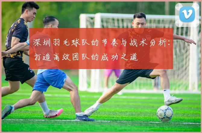 深圳羽毛球队的节奏与战术分析：打造高效团队的成功之道