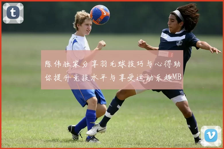陈伟独家分享羽毛球技巧与心得助你提升竞技水平与享受运动乐趣MBA