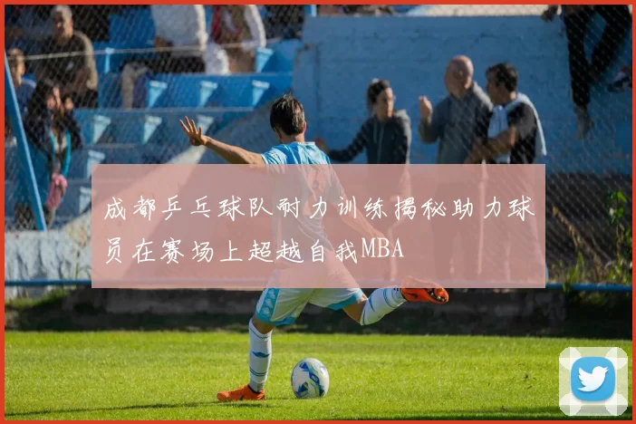 成都乒乓球队耐力训练揭秘助力球员在赛场上超越自我MBA